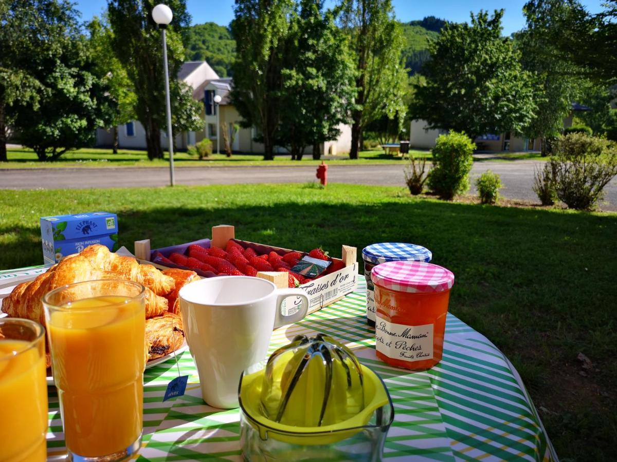 La Maison Bleue, Village Vacances, Piscine, Parking Saint-Geniez-dʼOlt Kültér fotó