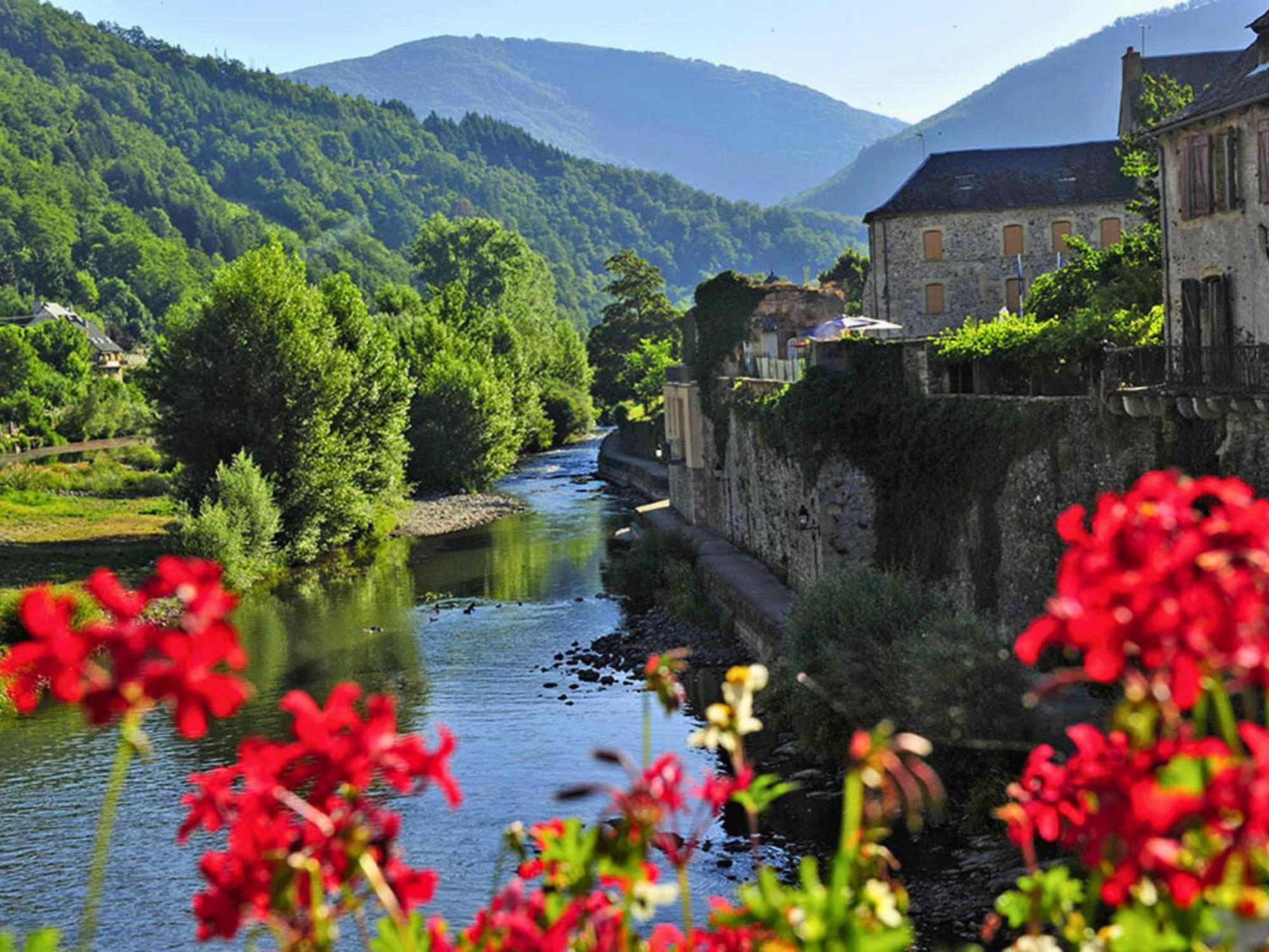 La Maison Bleue, Village Vacances, Piscine, Parking Saint-Geniez-dʼOlt Kültér fotó