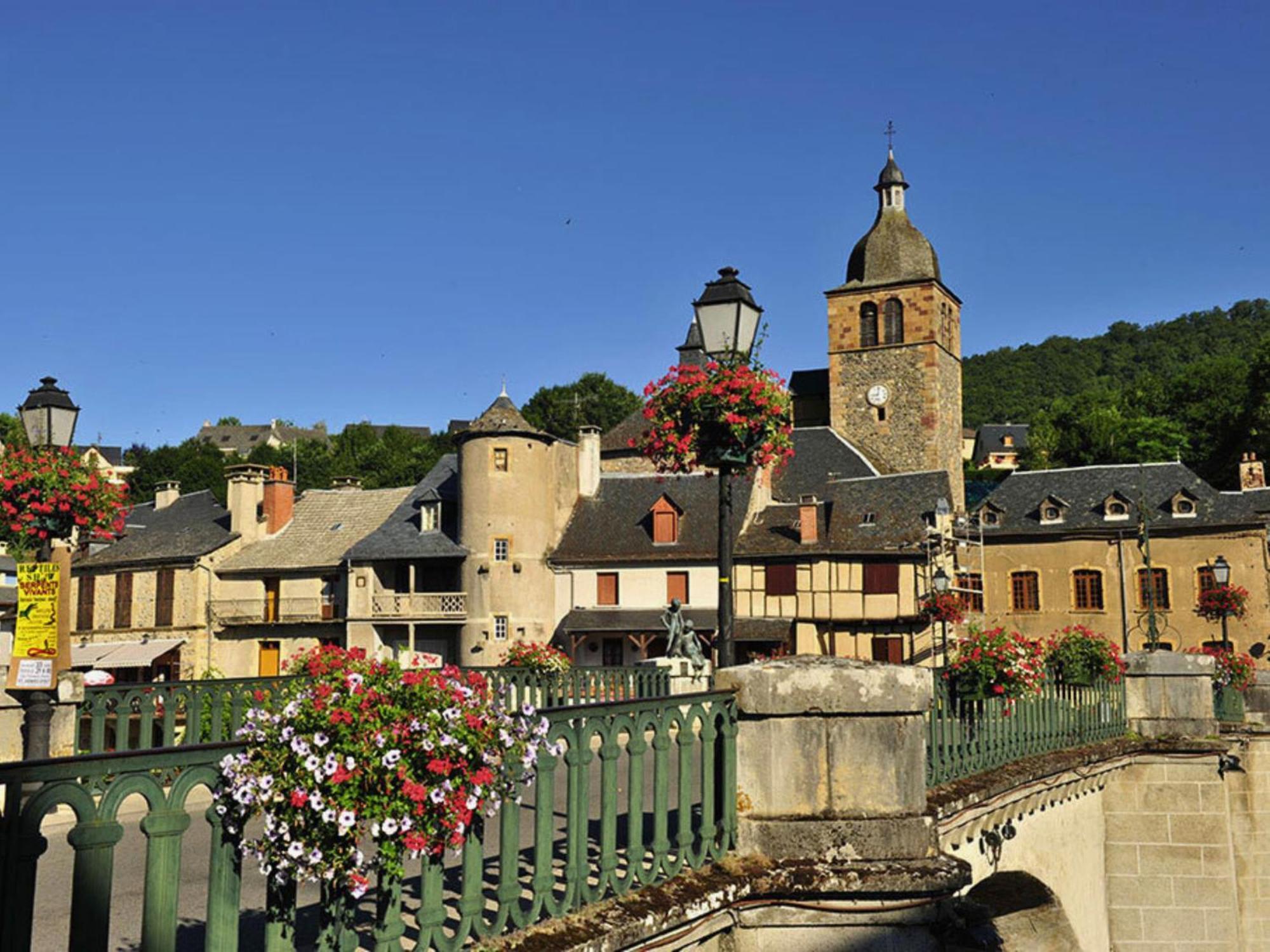 La Maison Bleue, Village Vacances, Piscine, Parking Saint-Geniez-dʼOlt Kültér fotó