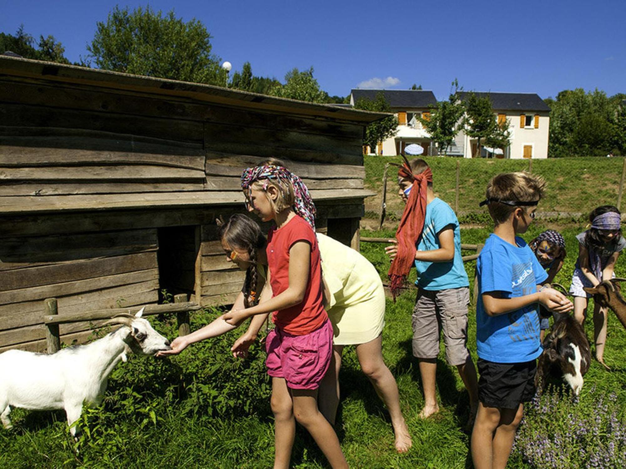 La Maison Bleue, Village Vacances, Piscine, Parking Saint-Geniez-dʼOlt Kültér fotó