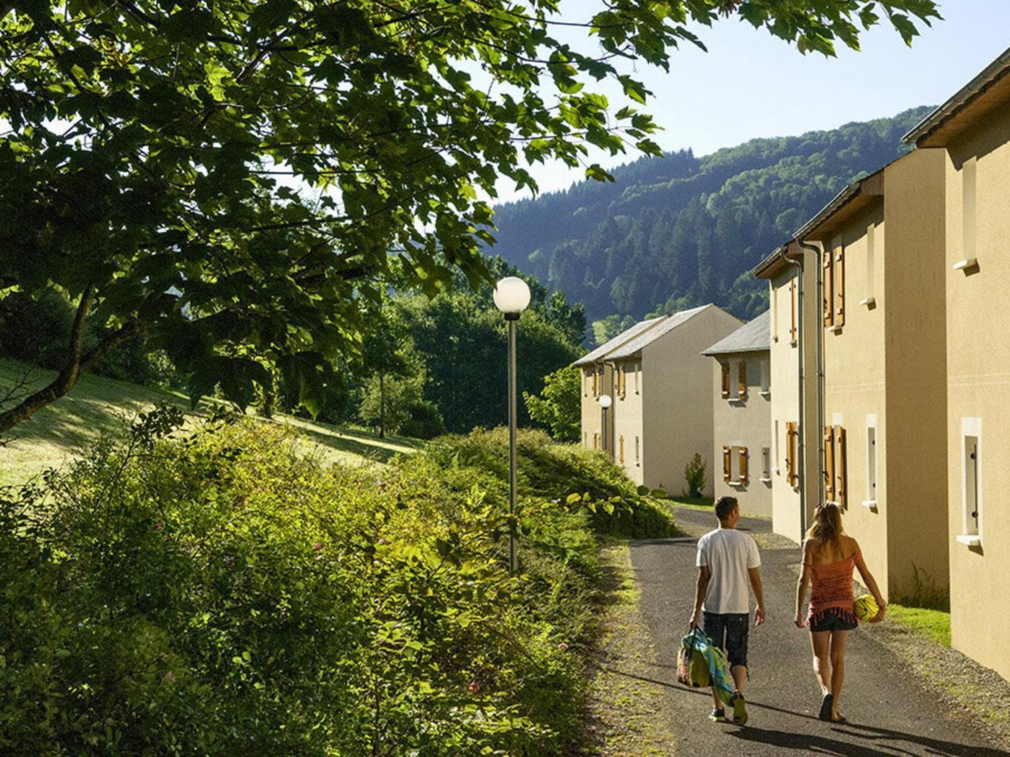 La Maison Bleue, Village Vacances, Piscine, Parking Saint-Geniez-dʼOlt Kültér fotó