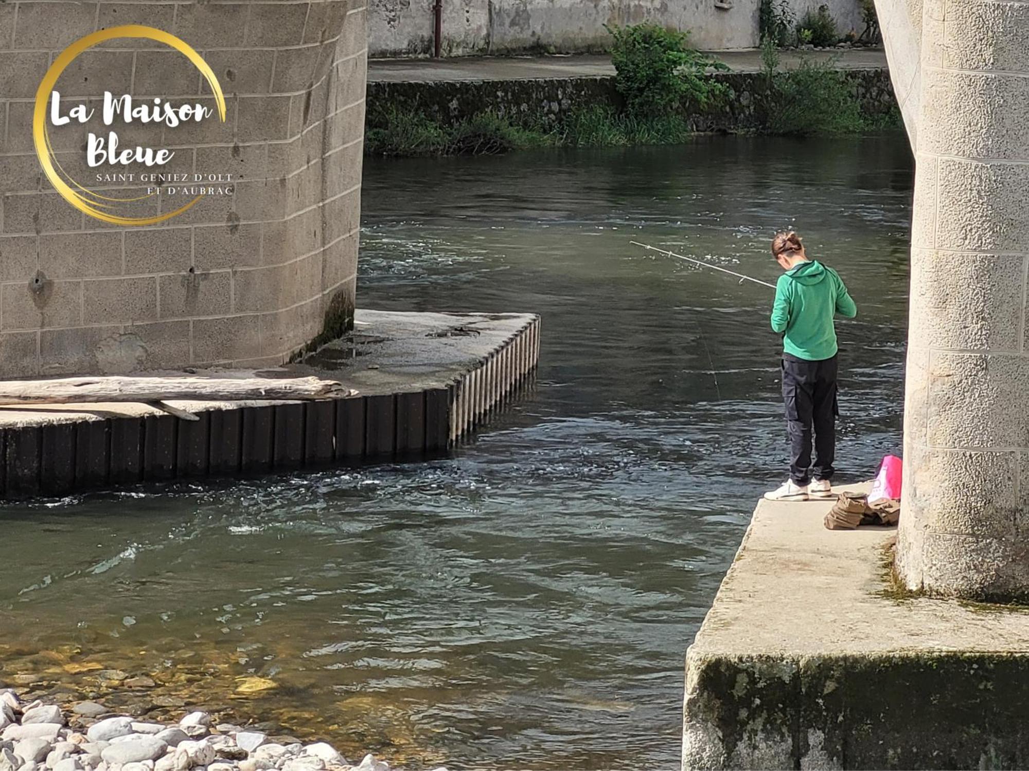 La Maison Bleue, Village Vacances, Piscine, Parking Saint-Geniez-dʼOlt Kültér fotó